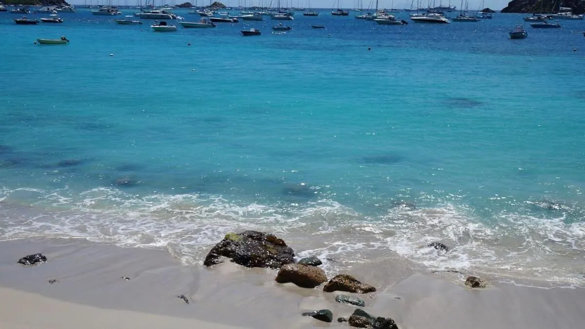 Authentic Summer Villa In Corossol Hillside St. Barthelemy 圣巴泰勒米